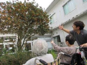 写真3